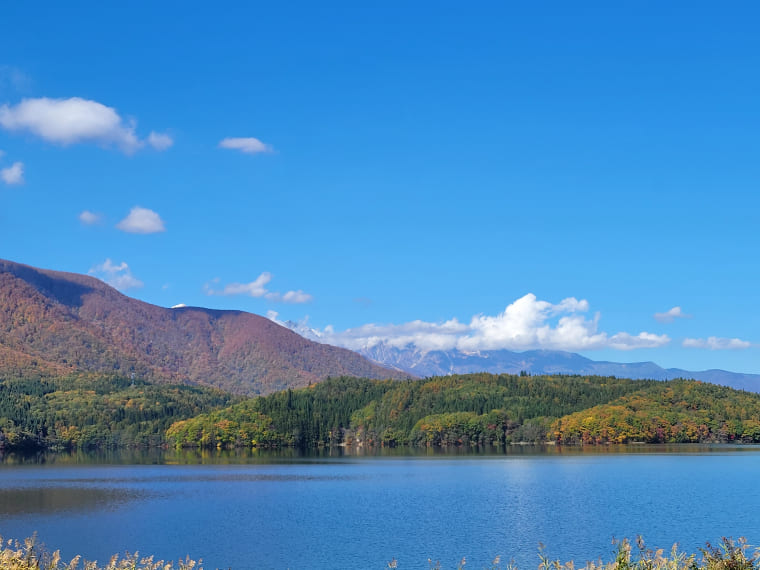 青木湖は国内有数の透明度を誇り、北アルプスの山々を湖面に映します